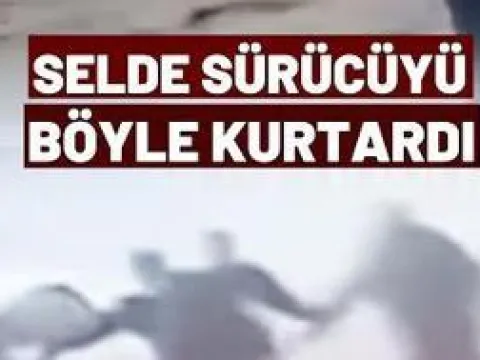 Bir adedi bile çok kıymetli! 1200 yıllık ağacın mahsülüne talep çok - fotoğraf 4