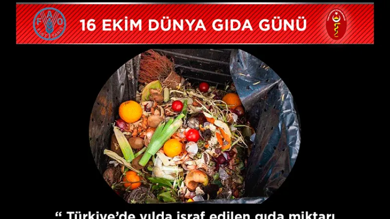 Hamurcu: Sağlıklı Gıdaya Erişim, İnsanın En Temel Hakkıdır