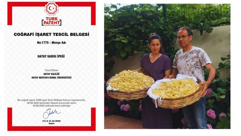 HATAY SARISI İPEĞİ TESCİLLENDİ