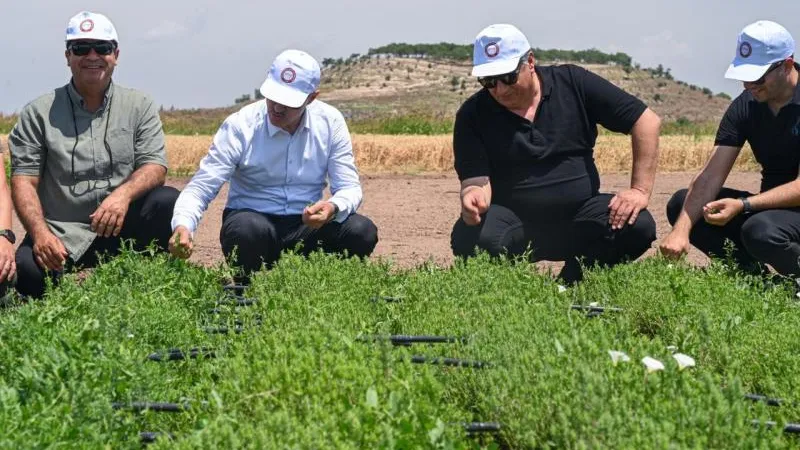 HATAY TARIMSAL UYGULAMA MERKEZİNDE TAHIL HASADI 