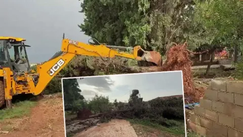 Hatay ve Mersin'i sağanak vurdu! Taşkın yaşandı: Ağaçlar devrildi, evleri ve yolları su bastı