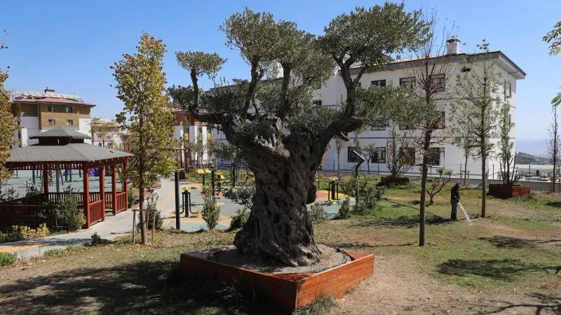 HATAY’DA TOKİ İLE YENİ HAYATLAR