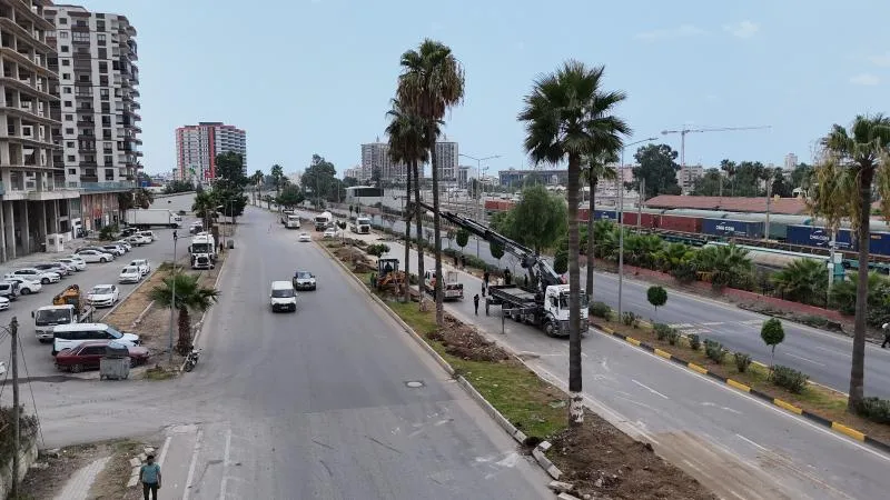 HBB’DEN AĞAÇLARA YENİ YAŞAM ALANI