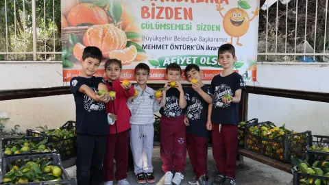 HBB'DEN GÜLÜMSETEN MANDALİNA
