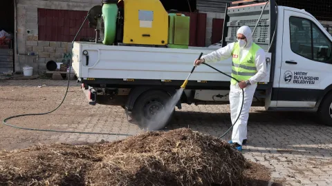 HBB’DEN ŞAP HASTALIĞINA KARŞI KARASİNEK MÜCADELESİ