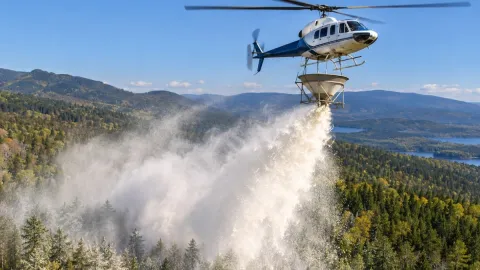 Helikopterle ormanın üzerine 40 ton kalsiyum döktüler