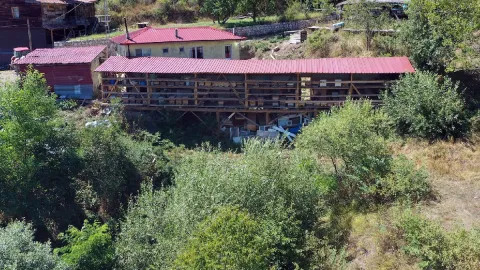 Herkes köyü terk etti o gitmedi: Yılda 600 tonla servet kazanıyor