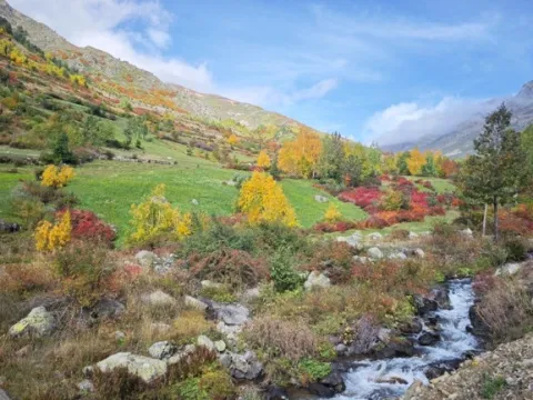 Artvin'de kayalıklar üzerine kurulu dağ köyü sonbaharda renk cümbüşüne büründü - fotoğraf 3