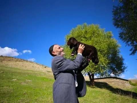 18 yıl sonra yine "koştu geldi" | "Yas yas yas gley" dedi ama koyunlar bu kez onu tanımadı - fotoğraf 3