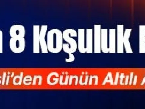 Bursa'da 8 koşuluk program! İşte Misli'den günün altılı analizi... - fotoğraf 3