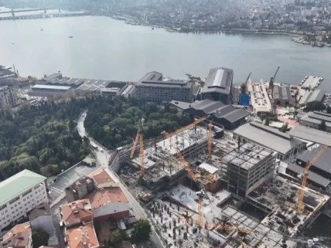 Yükselen yapıların ortasında tek başına: Tarihi tersanedeki asırlık ağaç havadan görüntülendi - fotoğraf 3
