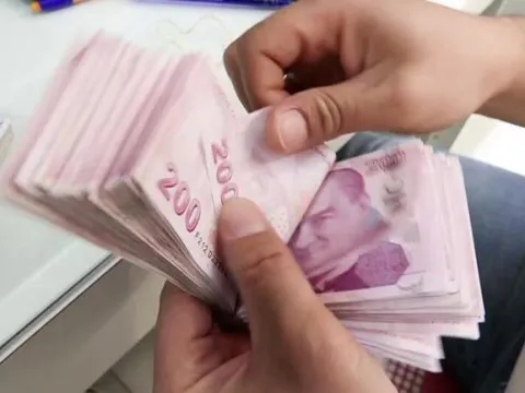 Mali suçlarla mücadelede 2 yeni birim - fotoğraf 1