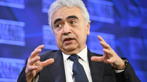 IEA'dan küresel dizel arzı için ek stok çağrısı