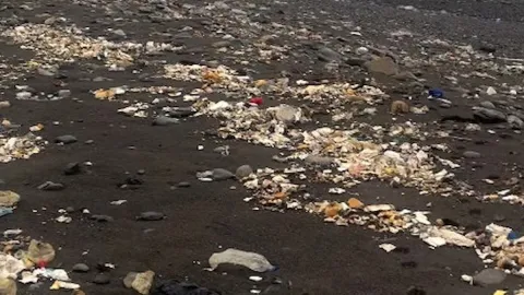 İki günlük yağmurla gelen çöpler kıyıya vurdu