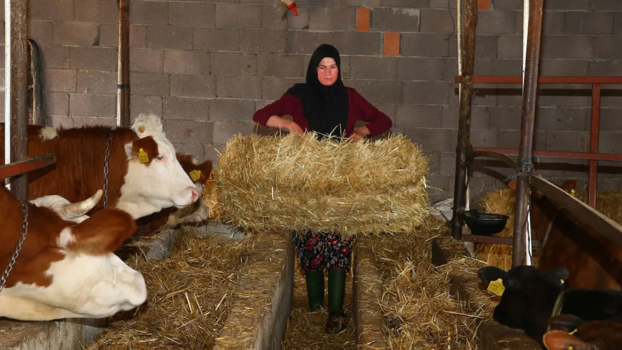 İki inekle başladığı hayvancılıkta köyün "hanımağa"sı oldu