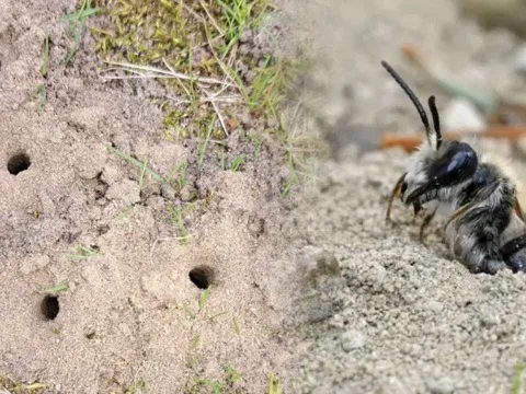 Ücretsiz otopark ararken hayatının şokunu yaşadı: Mezarlığın altı meğer kaynıyormuş - fotoğraf 1