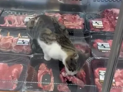 Zincir marketteki görüntü sonrası harekete geçildi: Ürünlere el konuldu, para cezası kesildi - fotoğraf 3
