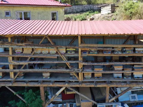 Herkes köyü terk etti o gitmedi: Yılda 600 tonla servet kazanıyor - fotoğraf 3