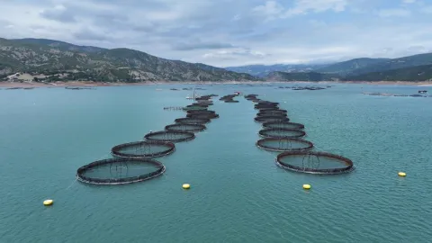 IPARD III kapsamında 95 projeye 1,2 milyar lira hibe