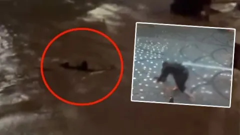 İstanbul'da afeti yaşadı... Metrekareye 242 kg yağış! Can kayıplarımız var