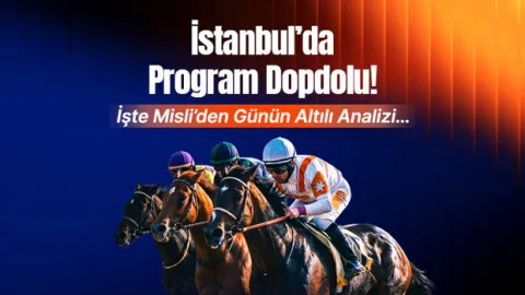 İstanbul’da Program Dopdolu! İşte Misli’den Günün Altılı Analizi…