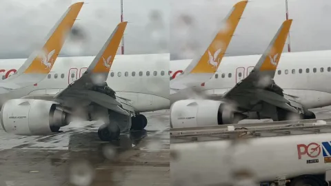 İstanbul'dan kalkan uçak sürüye çarptı: Kanadını görenler şoke oldu