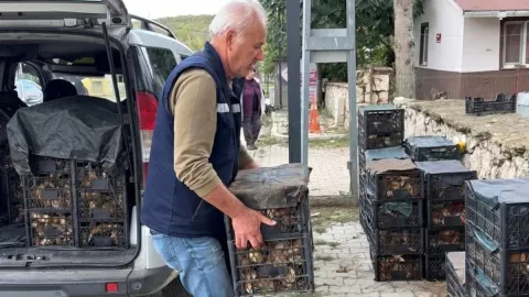 İstanbul'un dibinde bedava toplayıp servet kazanıyor: İtalyan ve Fransızlar kapış kapış alıyor