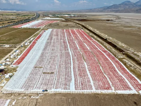 Yurt dışına kasa kasa gönderiliyor: Türkiye'de üretiliyor ama sofrayı yabancılar kuruyor - fotoğraf 2