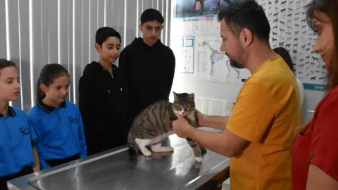 İzmir'de yürek ısıtan dayanışma: Harçlıklarını biriktirip yaralı kedi "Kurabiye"yi kurtardılar