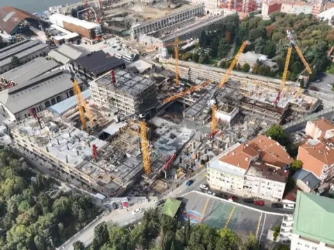Yükselen yapıların ortasında tek başına: Tarihi tersanedeki asırlık ağaç havadan görüntülendi - fotoğraf 4