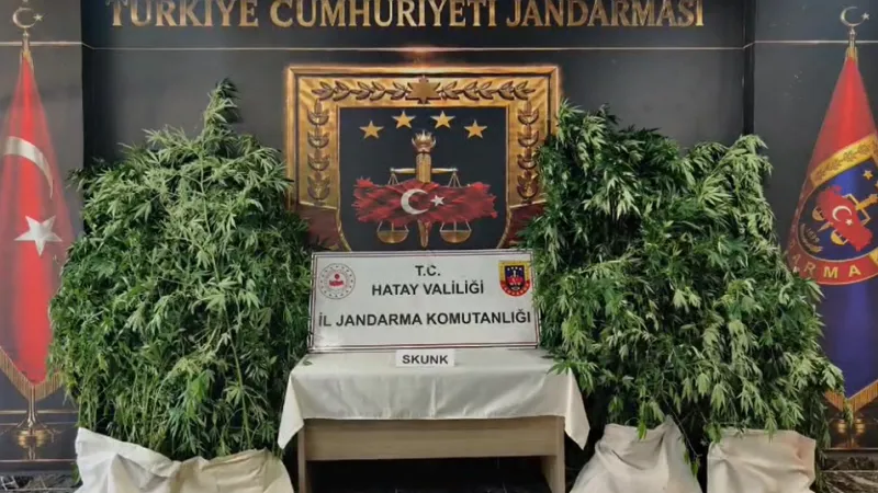 Jandarmadan Kenevir Operasyonu