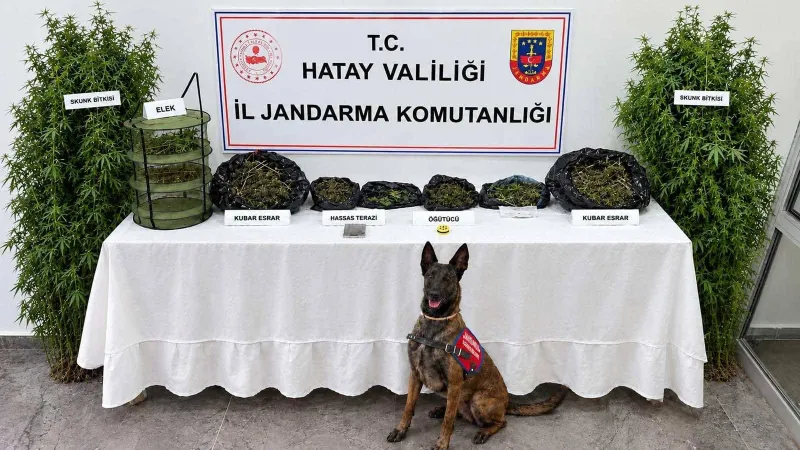 JANDARMADAN UYUŞTURUCU OPERASYONU: 1 GÖZALTI