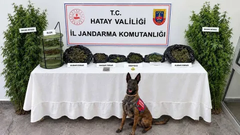 JANDARMADAN UYUŞTURUCU OPERASYONU: 1 GÖZALTI