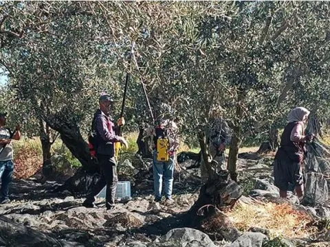 Yöneticiliği bıraktı, ilçesini üretim üssüne çevirdi! Şimdi dünyanın dört bir yanına satış yapıyor - fotoğraf 5