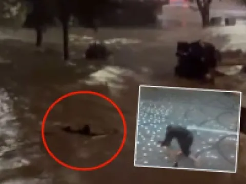 "Savaş çok yakında sona erecek, enerji fiyatları düşecek" - fotoğraf 2