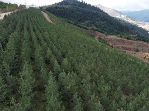 Eti Bakır, iklim ve doğa raporunu yayımladı - fotoğraf 1