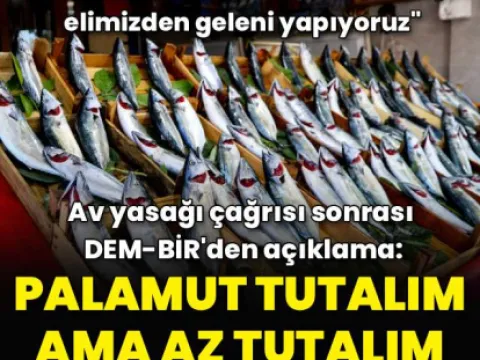 İronik bir polemik - fotoğraf 2