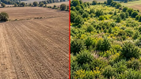 Kaderine terk edilen tarla 11 yıl sonra herkesi şaşırttı