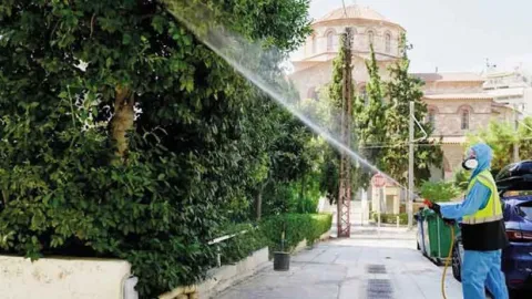 Kapıdaki tehlike Batı Nil virüsü: 51 ölü
