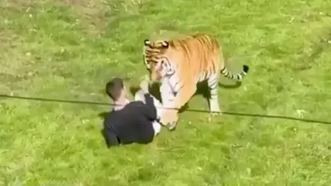 Kaplanın parçaladığı adamın son sözleri böyle duyuldu