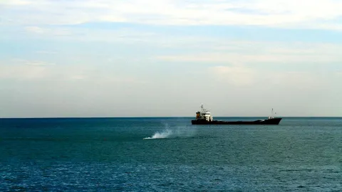 Karadeniz'de üçlü güvenlik hamlesi: Bulgaristan, Türkiye ve Romanya'yı istişareye çağıracak