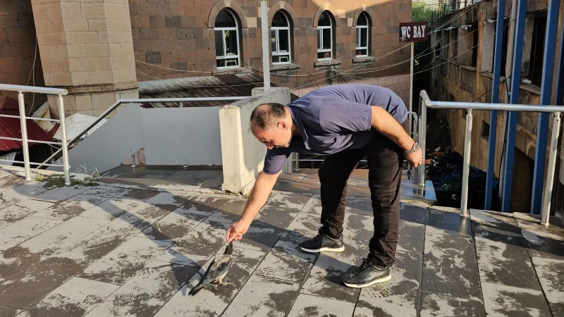 Kasap ile karga arasında sıra dışı dostluk. Dükkanın maskotu oldu