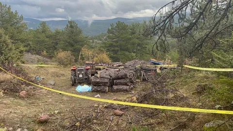 Kastamonu'da ormanda dehşet: Köy imamını odunla darbederek öldürdü