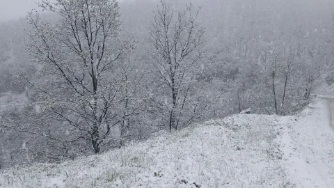Kentte kar sürprizi! Her yer beyaza büründü
