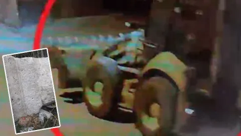 Kepçeyle gelip Roma tarihini çaldılar