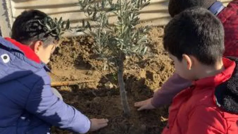 Kervan’dan Okul Bahçelerine Zeytin 
