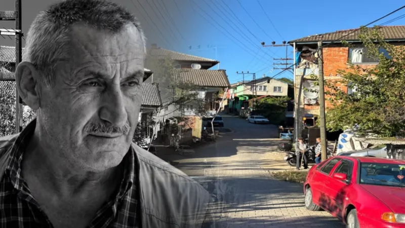 Kestane toplamak için gittiği ormanda öldü