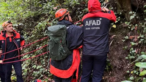 Kestane toplamak için ormana gitti, cansız bedeni bulundu