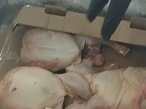 Restoranda yapılan denetimde mide bulandıran görüntüler - fotoğraf 1