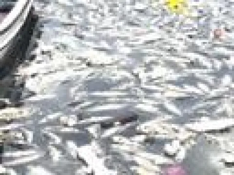 Bahadır Özgür hakkında karar verildi - fotoğraf 1